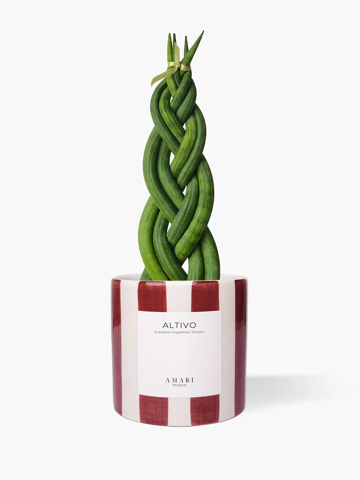 ALTIVO
