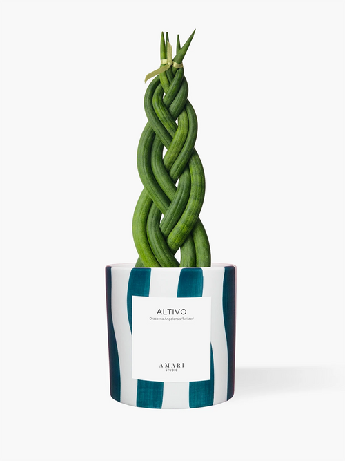 ALTIVO